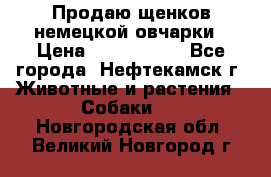 Продаю щенков немецкой овчарки › Цена ­ 5000-6000 - Все города, Нефтекамск г. Животные и растения » Собаки   . Новгородская обл.,Великий Новгород г.